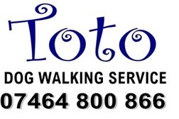 Toto Dog Walking Service